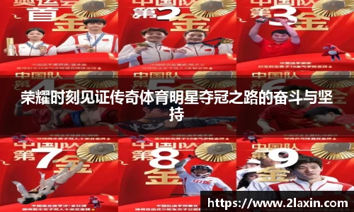 荣耀时刻见证传奇体育明星夺冠之路的奋斗与坚持