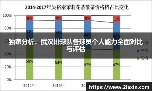 独家分析：武汉排球队各球员个人能力全面对比与评估