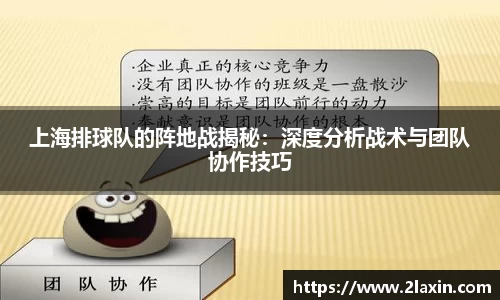 上海排球队的阵地战揭秘：深度分析战术与团队协作技巧