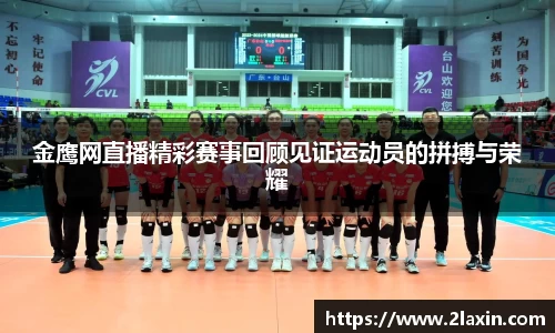金鹰网直播精彩赛事回顾见证运动员的拼搏与荣耀